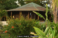 DSC_1911.jpg (194,396 bytes)