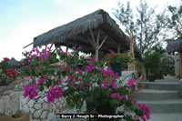 DSC_2080.jpg (179,778 bytes)