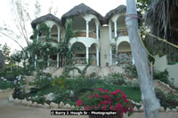 DSC_2198.jpg (194,302 bytes)