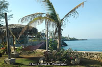 DSC_2322.jpg (197,714 bytes)