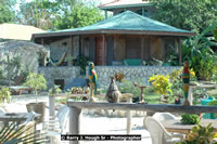 DSC_2457.jpg (236,997 bytes)