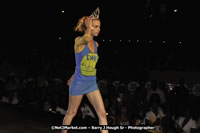 DSC_7936.jpg (38,364 bytes)