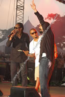 DSC_1375.jpg (117,468 bytes)