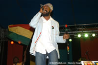 DSC_5374.jpg (40,392 bytes)