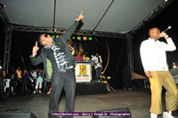 DSC_3594.jpg (88,027 bytes)