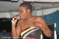 DSC_6619.jpg (41,159 bytes)